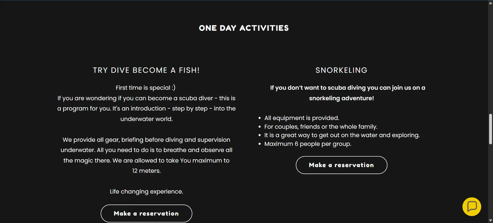 Oferta jednodniowych aktywności i snorkelingu na stronie SeaMonk.jp